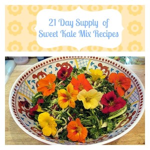 21 Days of Sweet Kale Mix Recipes