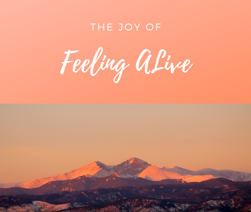 The Joy of Feeling Alive